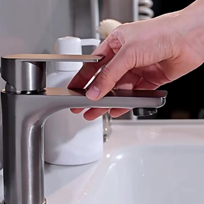 Torneira Monocomando para Banheiro e Lavabo Deluxe Inox - Neohousi