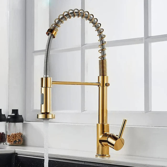 Torneira Gourmet Cozinha Vienna Com Extensor Quente e Frio - Neohousi