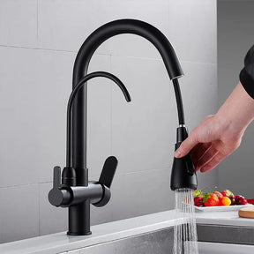 Torneira Gourmet Cozinha Milano Monocomando com Filtro de Água e Jato Extensível - Neohousi