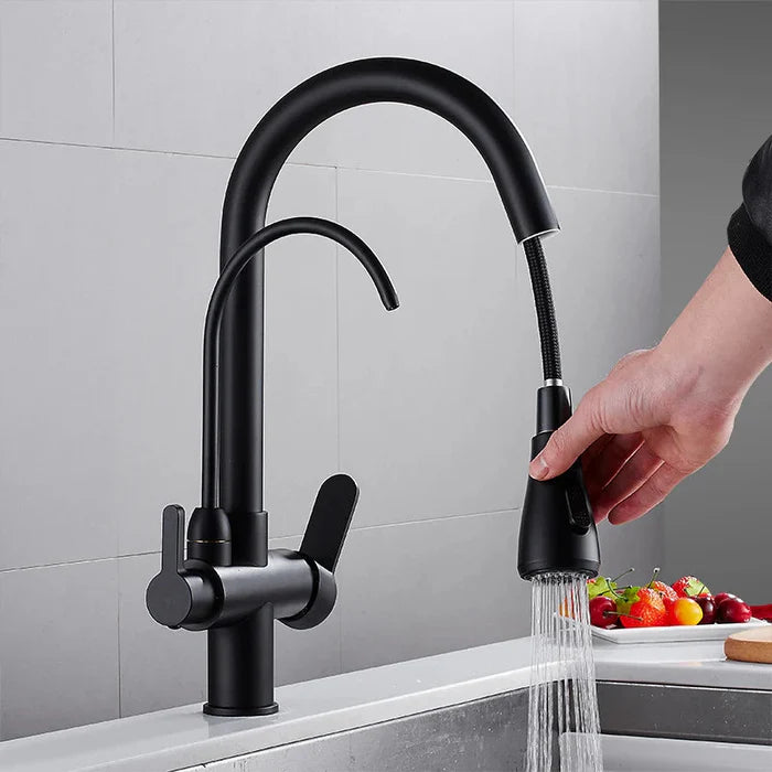 Torneira Gourmet Cozinha Milano Monocomando com Filtro de Água e Jato Extensível - Neohousi